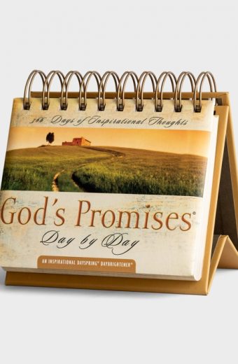 God's Promises Day by Day DayBrightener