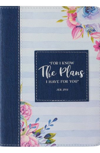 I Know the Plans Stripe Journal