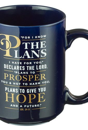 Mug For I Know the Plans