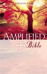 The Amplified Bible - H/C