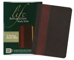 Life Application Bible NLT2 (IL)