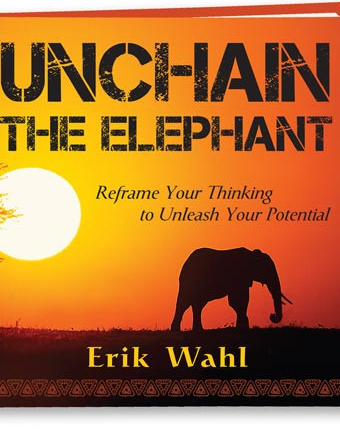 Un-Chain The Elephant