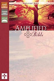 Amplified Bible - Soft Cover
