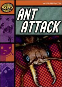 Rapid 4 B - Ant Attack