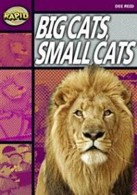 Rapid 1 A - Big Cats, Small Cats