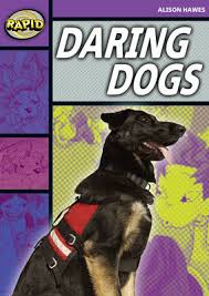 Rapid 1 B - Daring Dogs