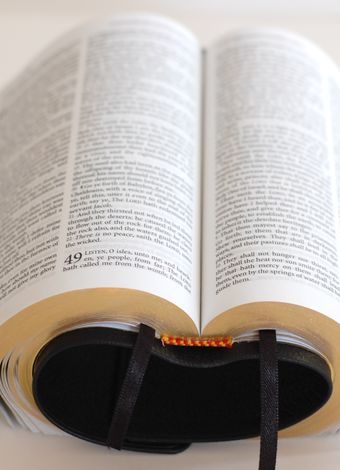 KJV Holy Bible - no Zip