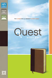 NIV Quest Study Bible Burgundy