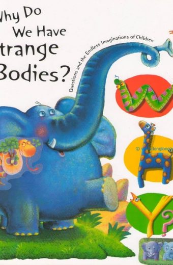 Why Do Animals Have Different Bodies